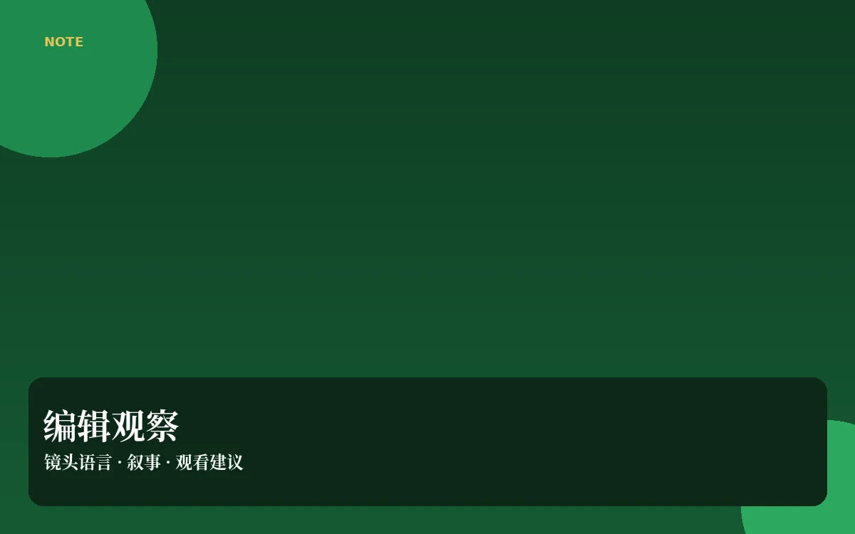 看片札记